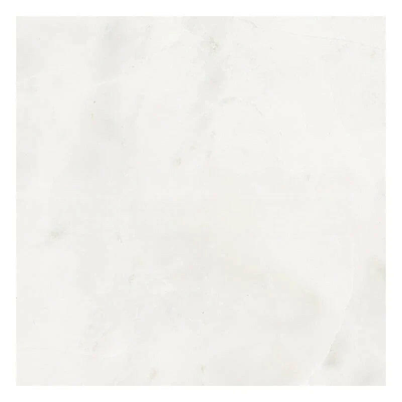 12 X 12 Bianco Congelato Dolomite Leathered Tile-Marble Tile-American Tile Depot