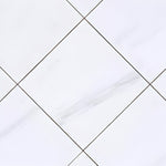 12 X 12 Bianco Dolomite Honed Marble Field Tile-Marble Tile-American Tile Depot