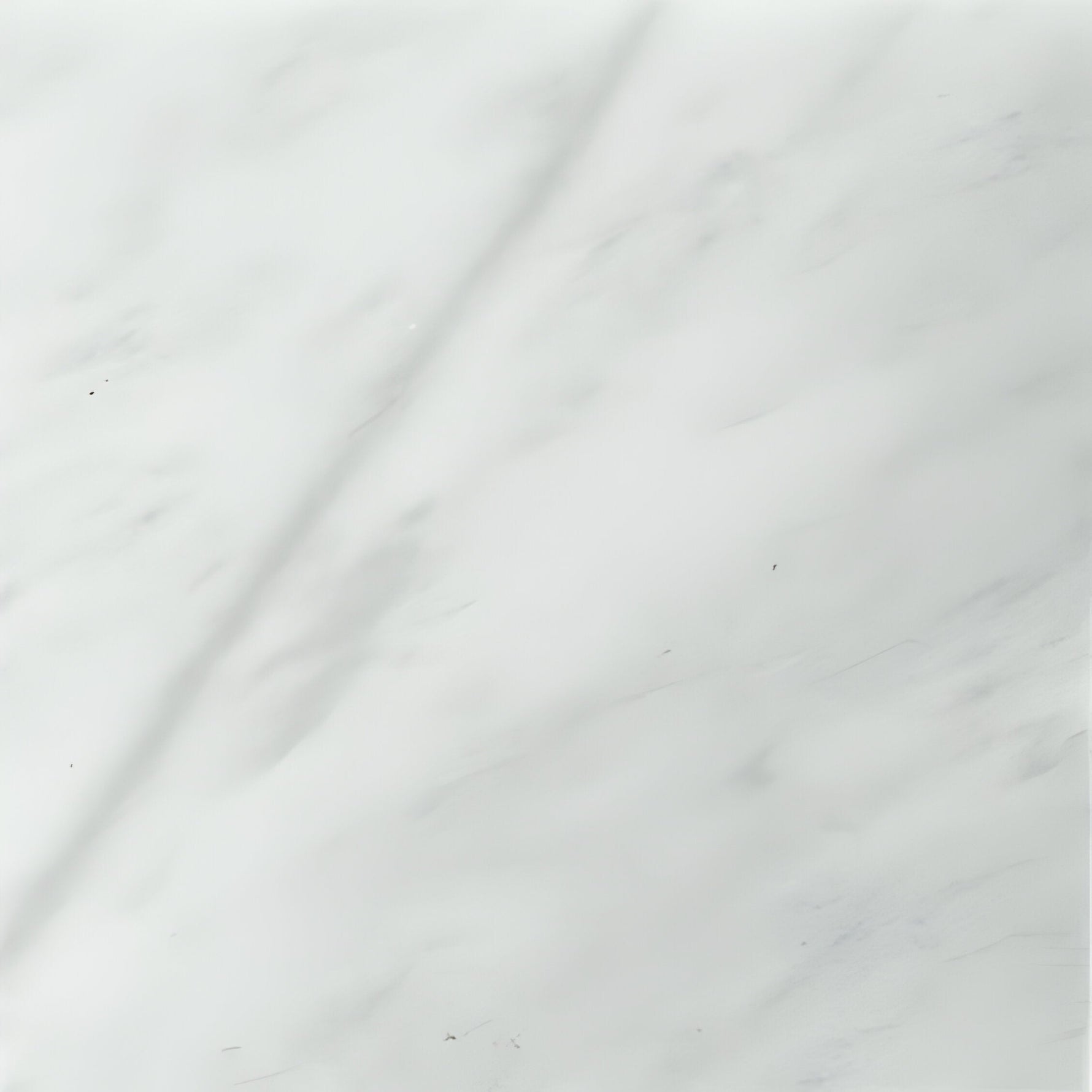 12 X 12 Bianco Venatino (Bianco Mare) Marble Polished Field Tile-Marble Tile-American Tile Depot