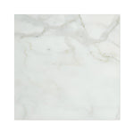 12 X 12 Calacatta Gold Marble Honed Field Tile-Marble Tile-American Tile Depot