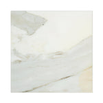 12 X 12 Calacatta Gold Marble Honed Field Tile-Marble Tile-American Tile Depot