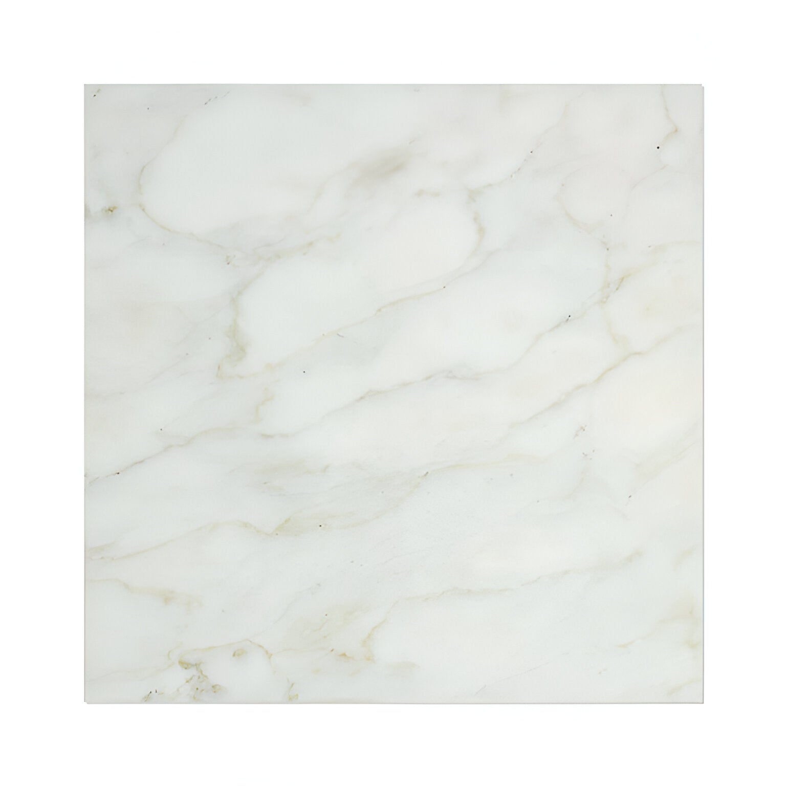 12 X 12 Calacatta Gold Marble Honed Field Tile-Marble Tile-American Tile Depot