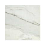 12 X 12 Calacatta Gold Marble Honed Field Tile-Marble Tile-American Tile Depot