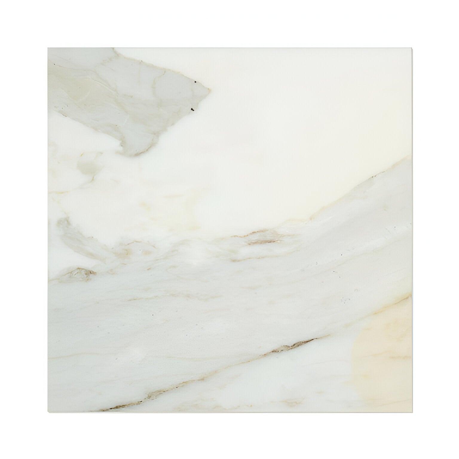 12 X 12 Calacatta Gold Marble Polished Field Tile-Marble Tile-American Tile Depot