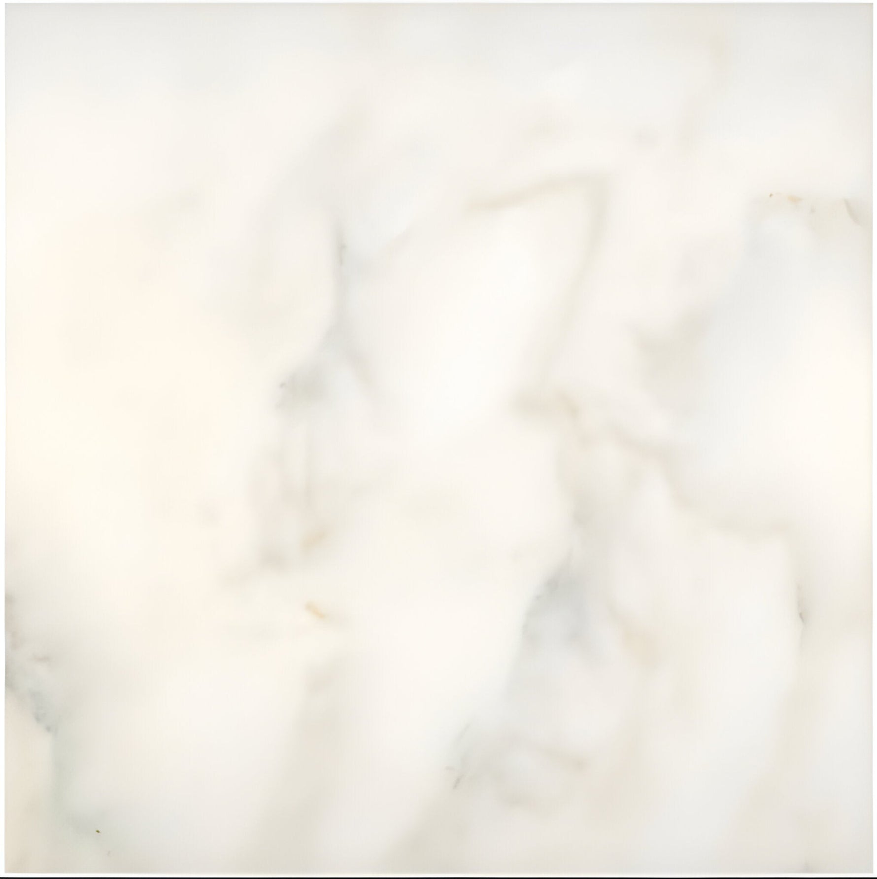 12 X 12 Calacatta Oliva Marble Honed Field Tile-Marble Tile-American Tile Depot