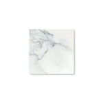 12 X 12 Calacatta Oliva Marble Honed Field Tile-Marble Tile-American Tile Depot