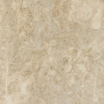 12 X 12 Cappuccino Marble Polished Field Tile-Marble Tile-American Tile Depot