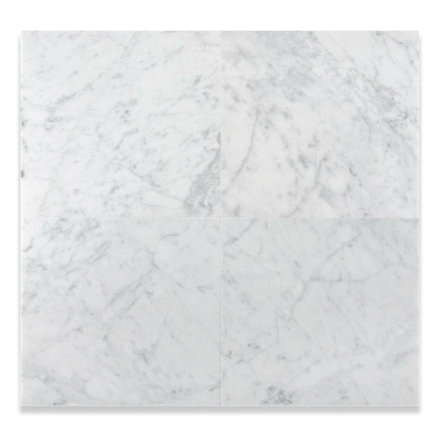 12 X 12 Carrara White Marble Honed Field Tile-Marble Tile-American Tile Depot