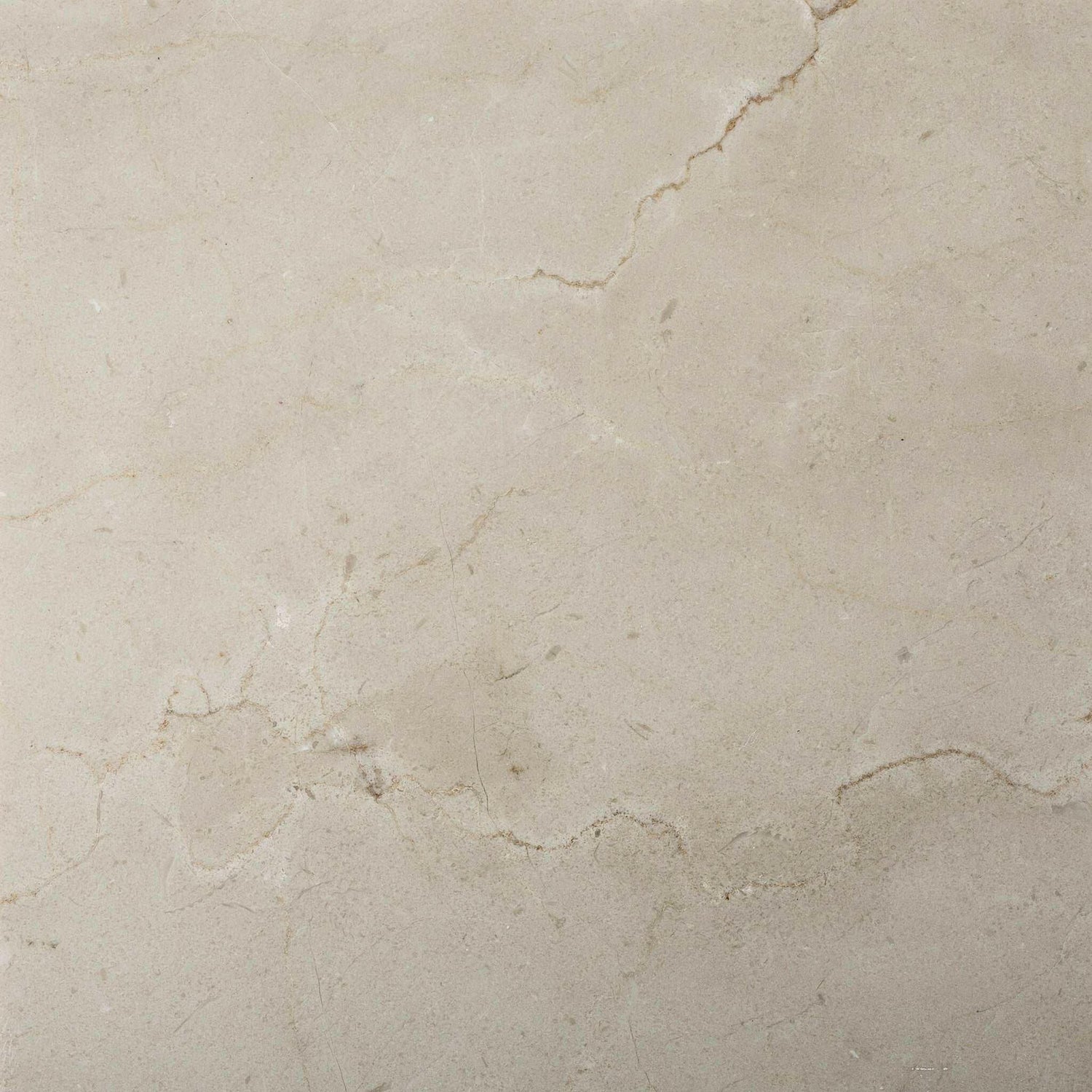 12 X 12 Crema Marfil Marble Honed Field Tile-Marble Tile-American Tile Depot