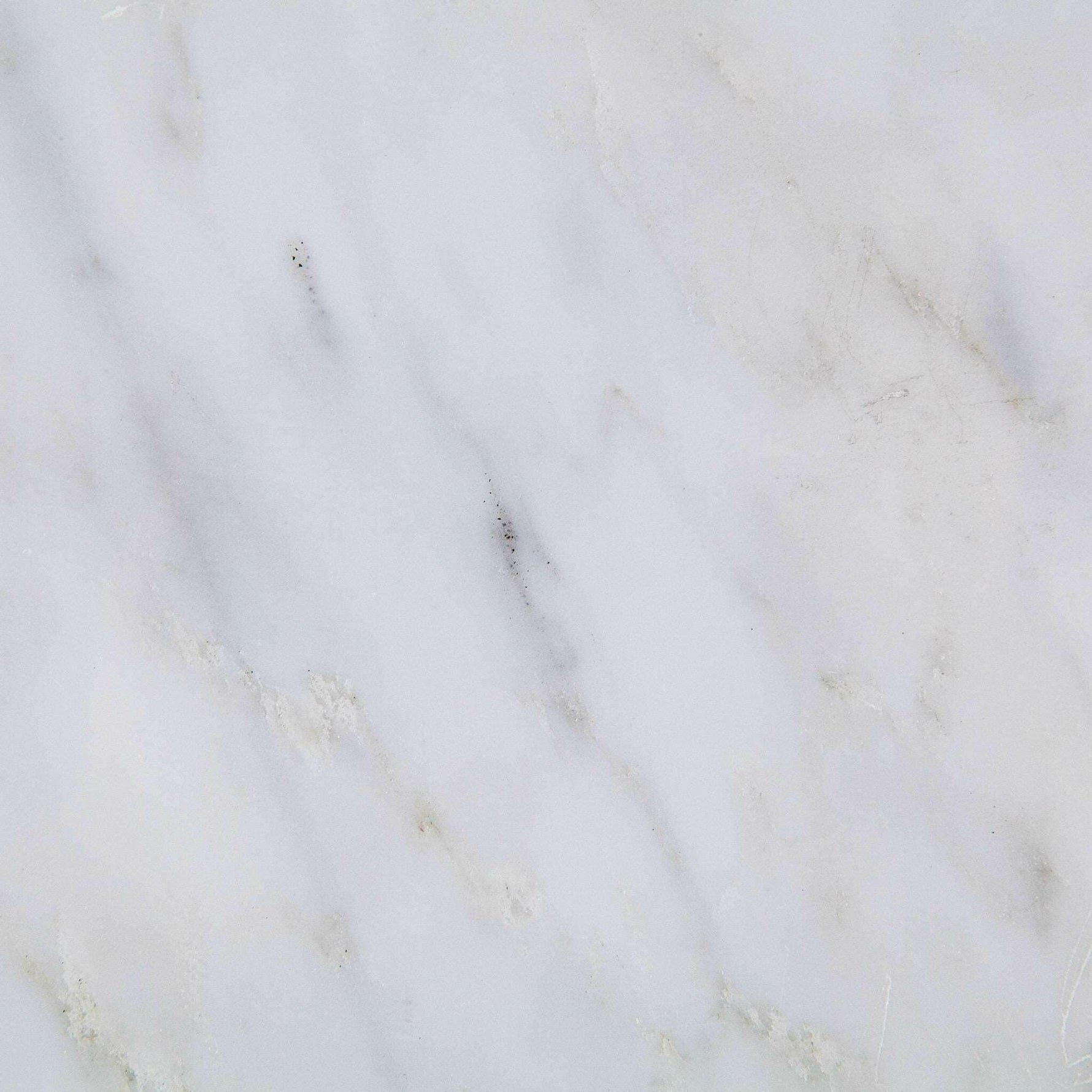 12 X 12 Oriental White / Asian Statuary Marble Honed Field Tile-Marble Tile-American Tile Depot