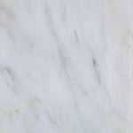 12 X 12 Oriental White / Asian Statuary Marble Polished Field Tile-Marble Tile-American Tile Depot