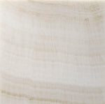 12 X 12 Premium White Onyx VEIN-CUT Polished Field Tile-Onyx Tile-American Tile Depot