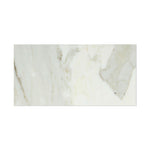 12 X 24 Calacatta Gold Marble Honed Field Tile-Marble Tile - Large Formate-American Tile Depot