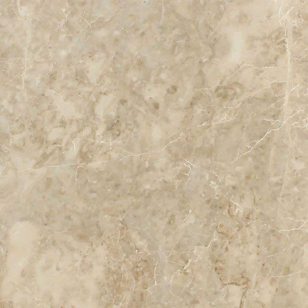 12 X 24 Cappuccino Marble Polished Field Tile-Marble Tile - Large Formate-American Tile Depot