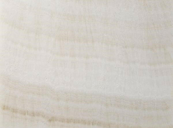 12 X 24 Premium White Onyx VEIN-CUT Polished Field Tile-Onyx Tile - Large Formate-American Tile Depot