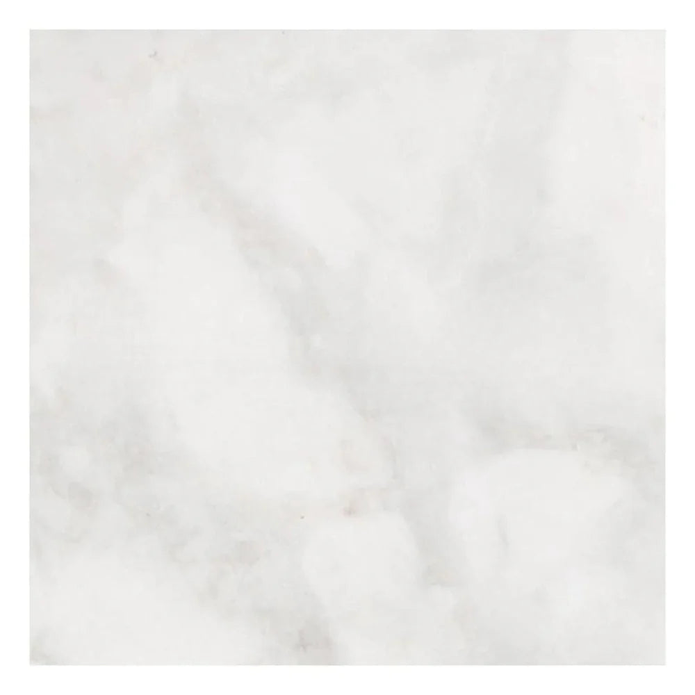 18 X 18 Bianco Congelato Dolomite Leathered Tile-Dolomite - Large Formate-American Tile Depot