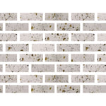 2 X 6 Terrazzo Gold Marble Polished Field Tile-Marble Mosaic-American Tile Depot