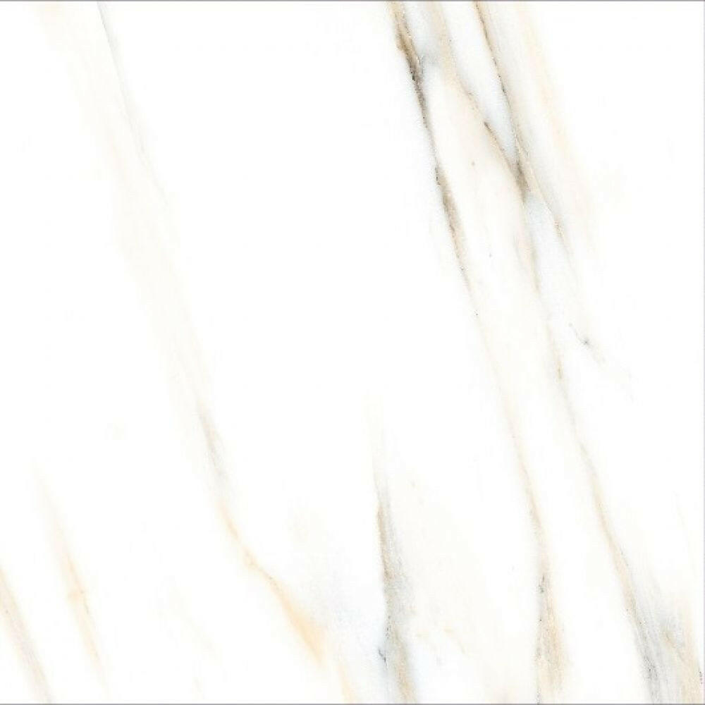 24 X 24 AGL Calacatta Gold Marble Look Matte Porcelain Tile-PORCELAIN-Large Format-American Tile Depot