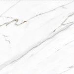 24 X 24 AGL Carrara Marble Look Matte Porcelain Tile-PORCELAIN-Large Format-American Tile Depot