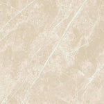 24 X 24 Dolomia Cream Luc Glossy Marble Look Porcelain Tile-PORCELAIN-Large Format-American Tile Depot