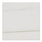 24 X 24 Dolomite Matte Marble Look Porcelain Tile-Porcelain Tile Large Formate-American Tile Depot