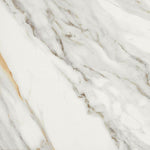 24 X 24 Marmi Macchiavecchia Levigato Polished Marble Look Porcelain Tile-PORCELAIN-Large Format-American Tile Depot