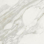 24 X 24 Marmi Macchiavecchia Levigato Polished Marble Look Porcelain Tile-PORCELAIN-Large Format-American Tile Depot