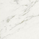 24 X 24 Marmi Macchiavecchia Levigato Polished Marble Look Porcelain Tile-PORCELAIN-Large Format-American Tile Depot