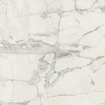 24 X 24 Prexious Mountain Treasure Glossy Marble Look Porcelain Tile-PORCELAIN-Large Format-American Tile Depot