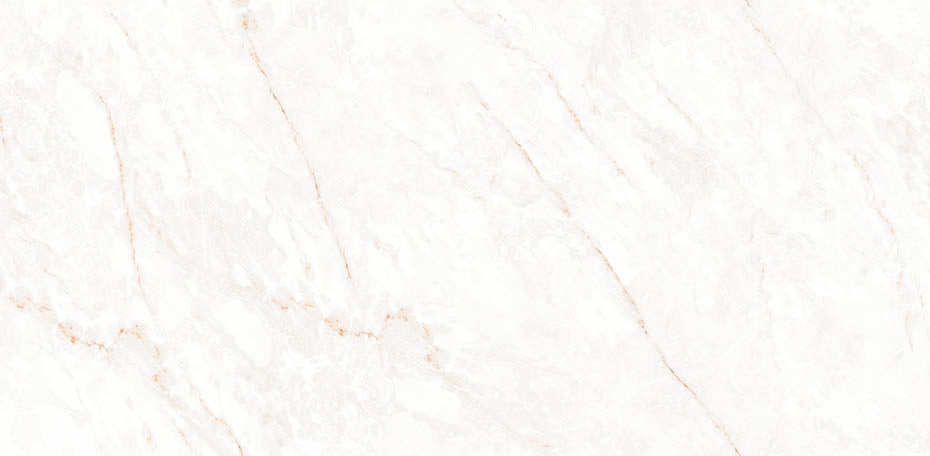 24 X 48 Calacatta Glam Polished Marble Look Porcelain Tile-Porcelain Tile Large Formate-American Tile Depot