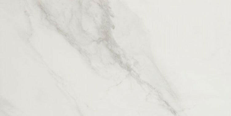 24 X 48 EC Snow Matte Marble Look Porcelain Tile-PORCELAIN-Large Format-American Tile Depot