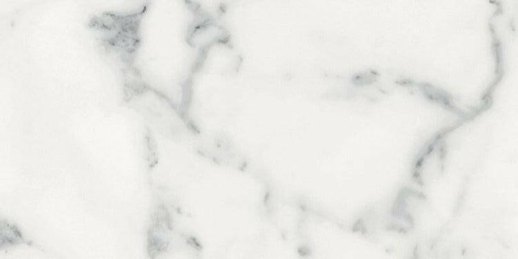 24 X 48 Origines Blanc Glossy Marble Look Porcelain Tile-PORCELAIN-Large Format-American Tile Depot