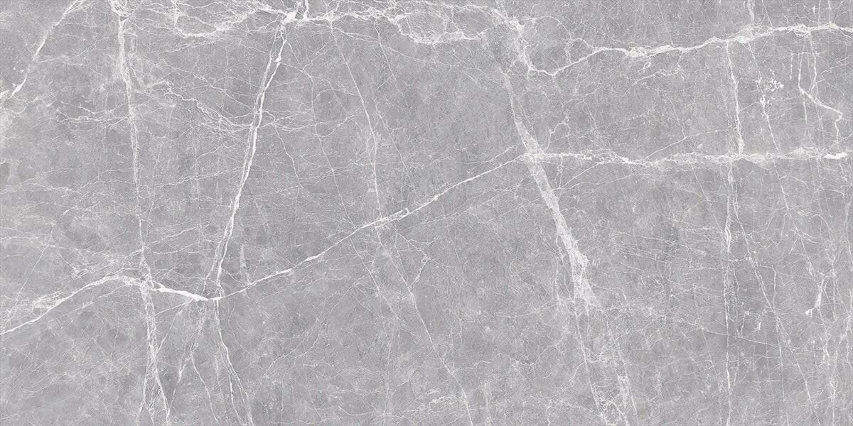 24 X 48 Terre Grey Polished Marble Look Porcelain Tile-Porcelain Tile Large Formate-American Tile Depot