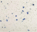 24 x 24 Terrazzo Blue Marble Polished Field Tile-Marble Tile - Large Formate-American Tile Depot