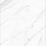 24 X 24 AGL Carrara Marble Look Polished Porcelain Tile