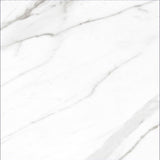 24 X 24 AGL Carrara Marble Look Polished Porcelain Tile