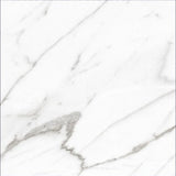 24 X 24 AGL Carrara Marble Look Polished Porcelain Tile