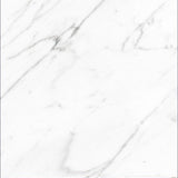 24 X 24 AGL Carrara Marble Look Matte Porcelain Tile