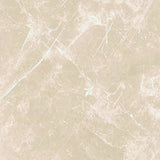 24 X 24 Dolomia Cream Nat Matte Marble Look Porcelain Tile