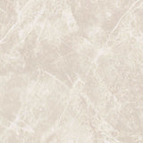 24 X 24 Dolomia White Nat Matte Marble Look Porcelain Tile