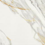 24 X 24 Marmi Macchiavecchia Levigato Polished Marble Look Porcelain Tile