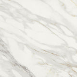 24 X 24 Marmi Macchiavecchia Levigato Polished Marble Look Porcelain Tile