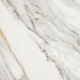 24 X 24 Marmi Macchiavecchia Levigato Polished Marble Look Porcelain Tile