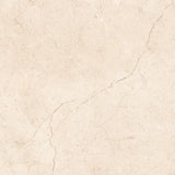 Sample of 24 X 24 Crema Marfil Marble Honed Tile-Sample-American Tile Depot