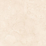 24 X 24 Crema Marfil Marble Honed Tile