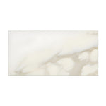 3 X 6 Calacatta Gold Marble Honed Subway Brick Field Tile-Marble Tile-American Tile Depot