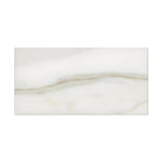 3 X 6 Calacatta Gold Marble Polished Subway Brick Field Tile-Marble Tile-American Tile Depot