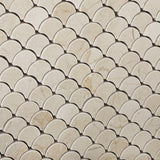 Crema Marfil Marble Honed Fan Mosaic Tile