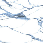 48 X 48 Calacatta Blue Matte Marble Look Porcelain Tile-PORCELAIN-Large Format-American Tile Depot