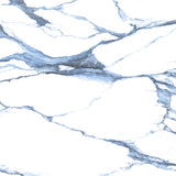 48 X 48 Calacatta Blue Polished Marble Look Porcelain Tile